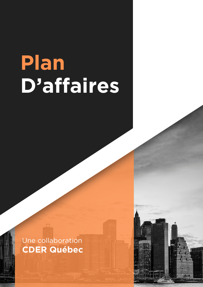 Plan d'affaires